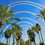Premium Honolulu Holiday Packages: Enjoy Luxury Resorts, Private Tours, and Exclusive Experiences